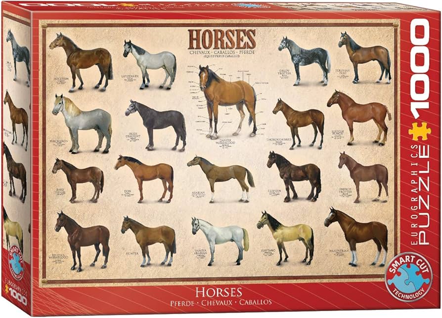 Horses 1000pc - Eurographics