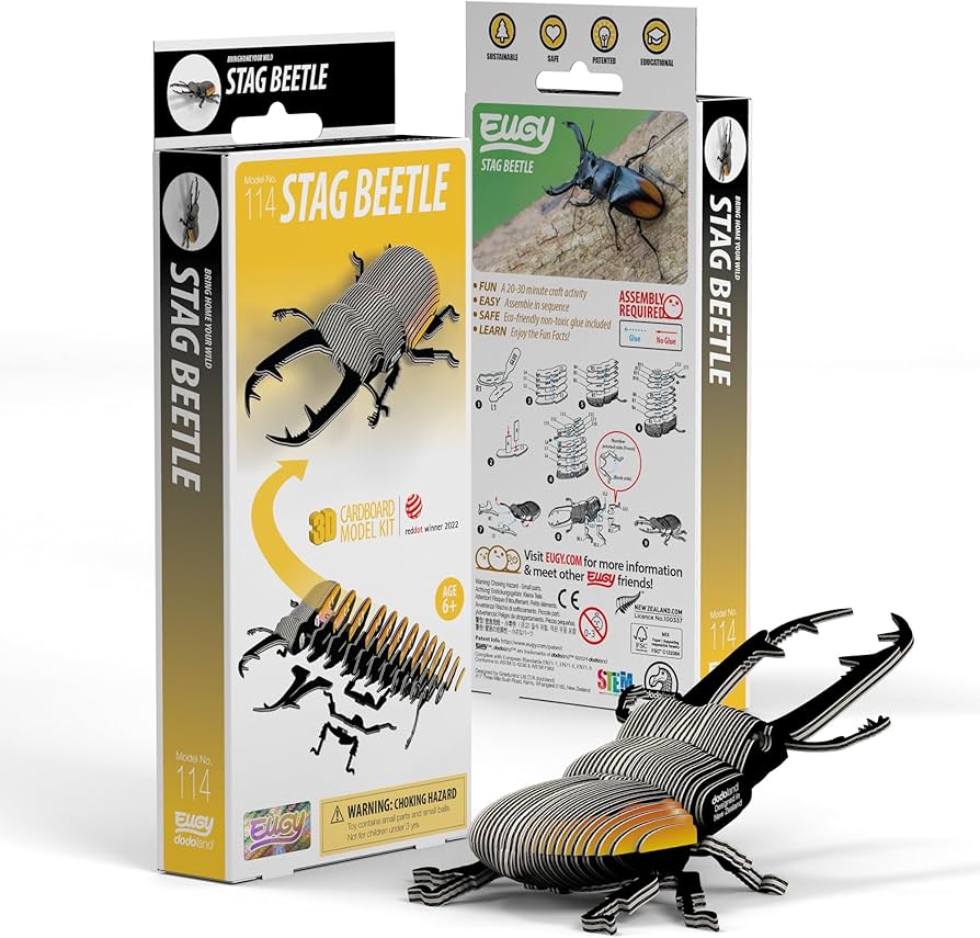 Stag Beetle - EUGY2