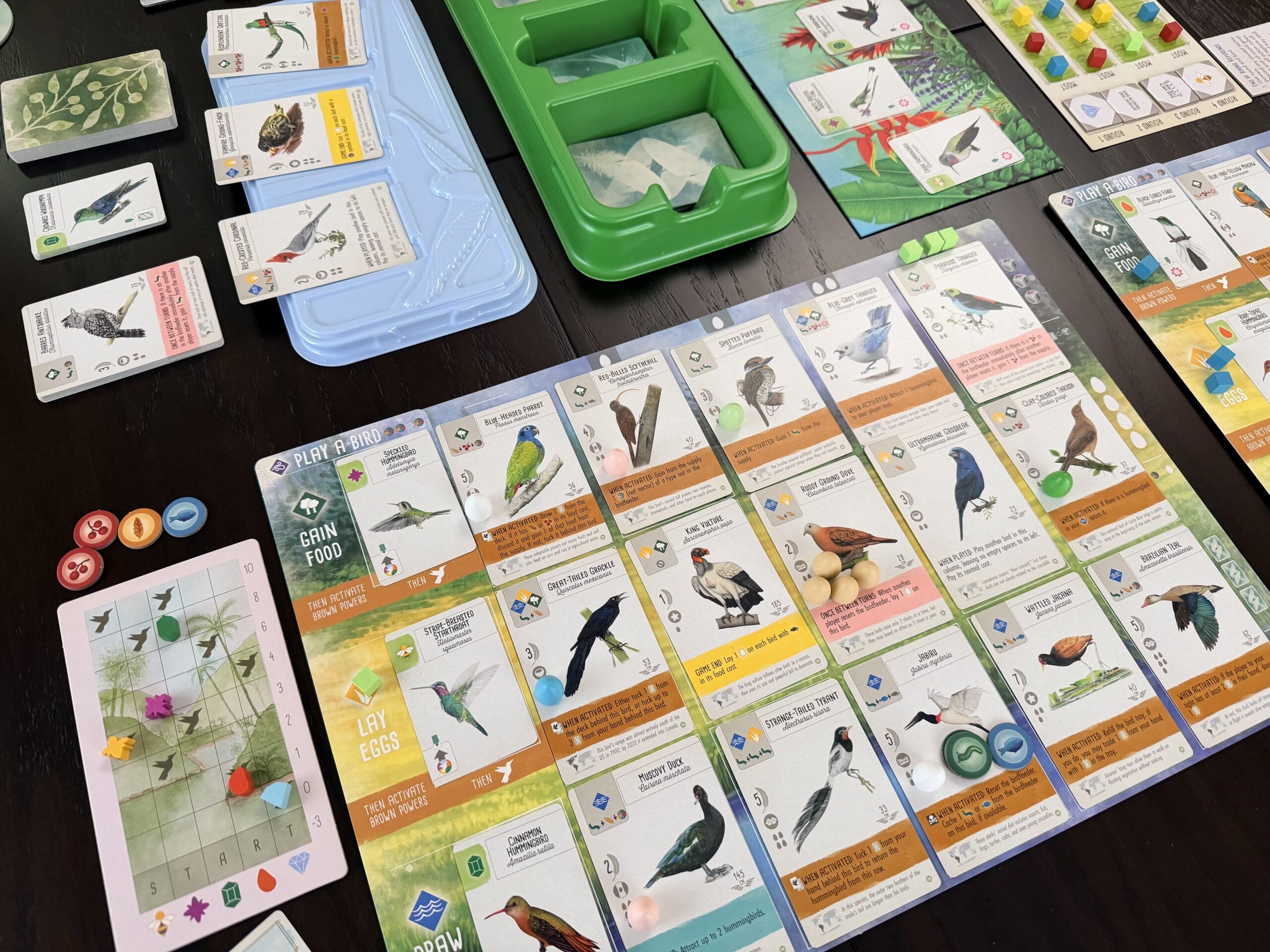 Americas Expansion - Wingspan