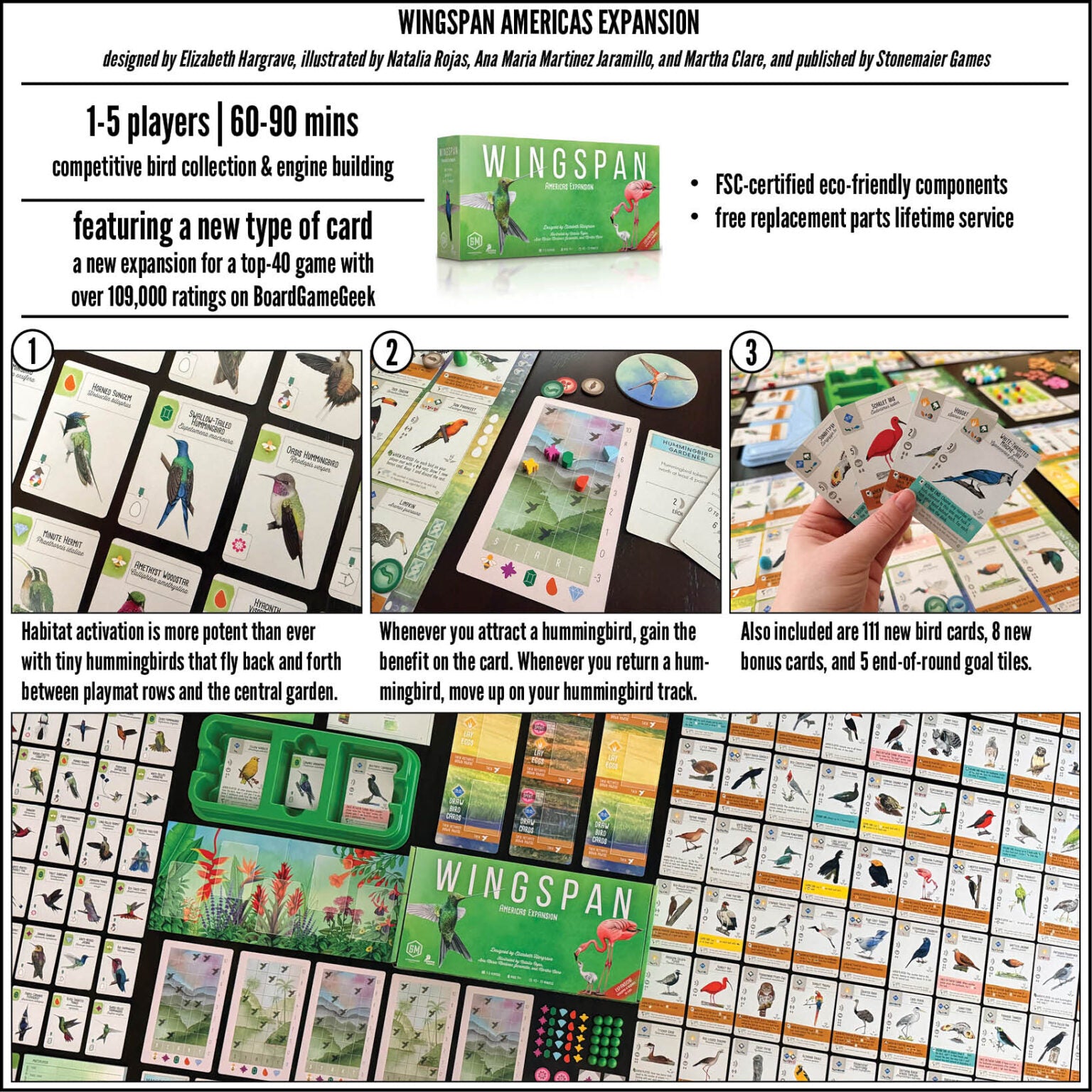 Americas Expansion - Wingspan