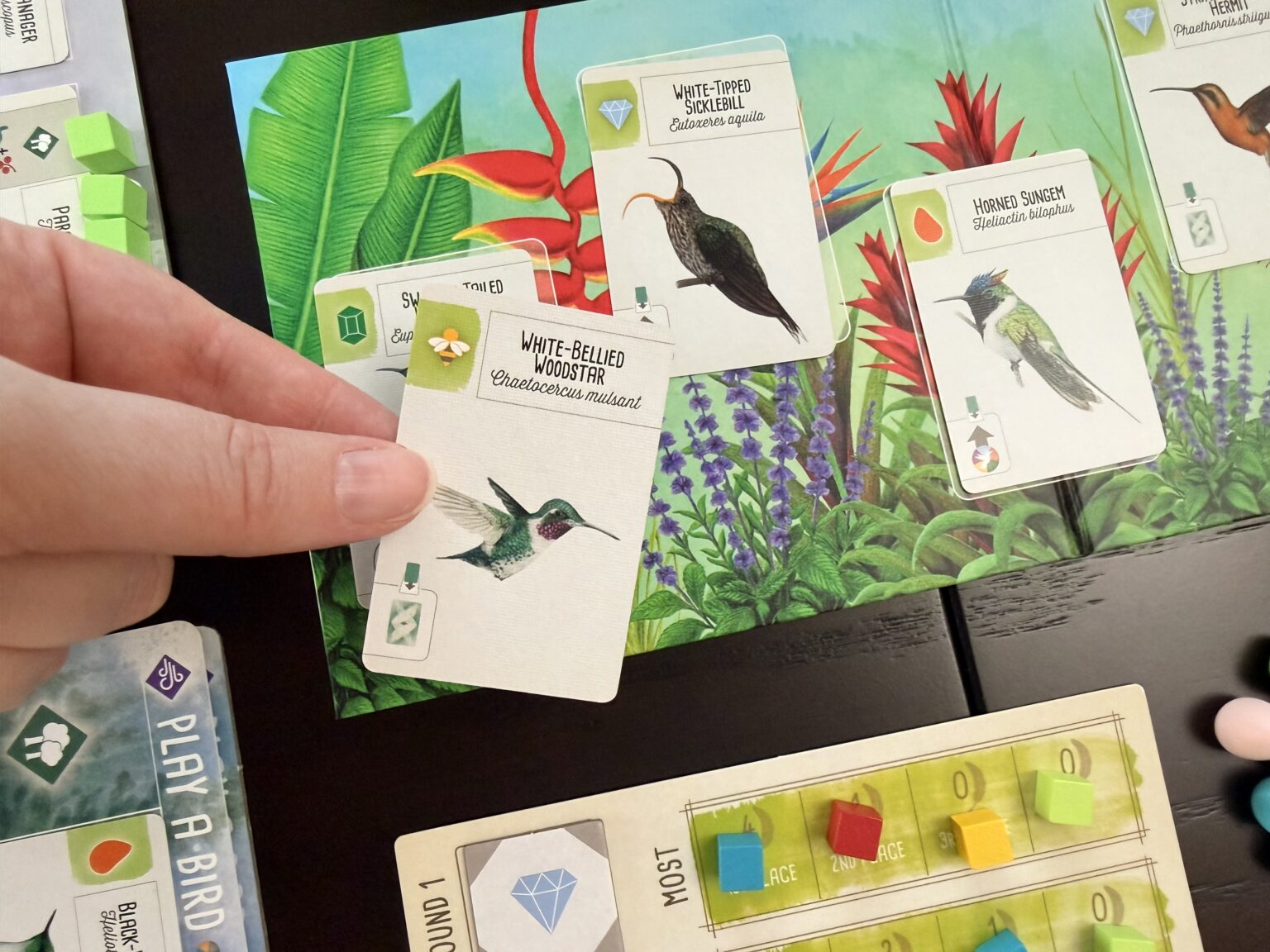 Americas Expansion - Wingspan