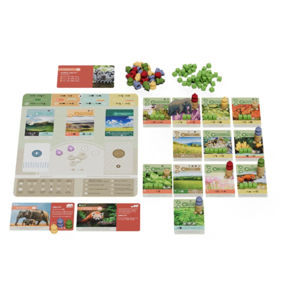 Earth - Animal Kingdom Expansion