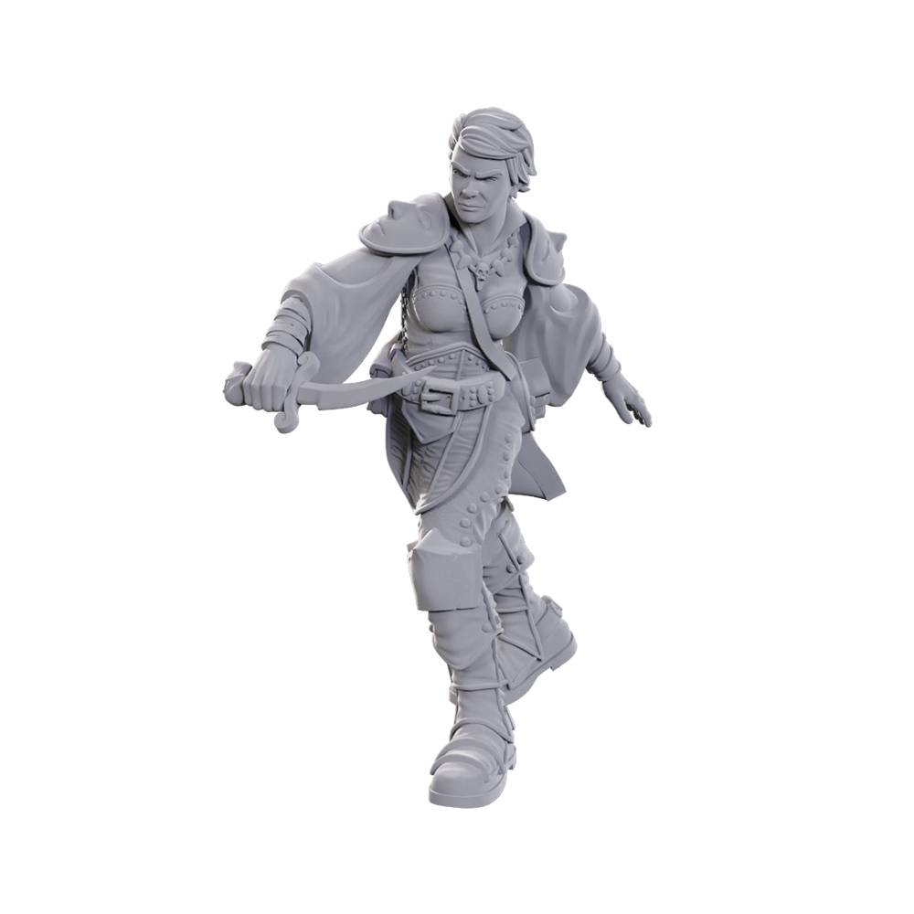 Swashbuckler - D&D Nolzurs Marvelous Unpainted Miniatures