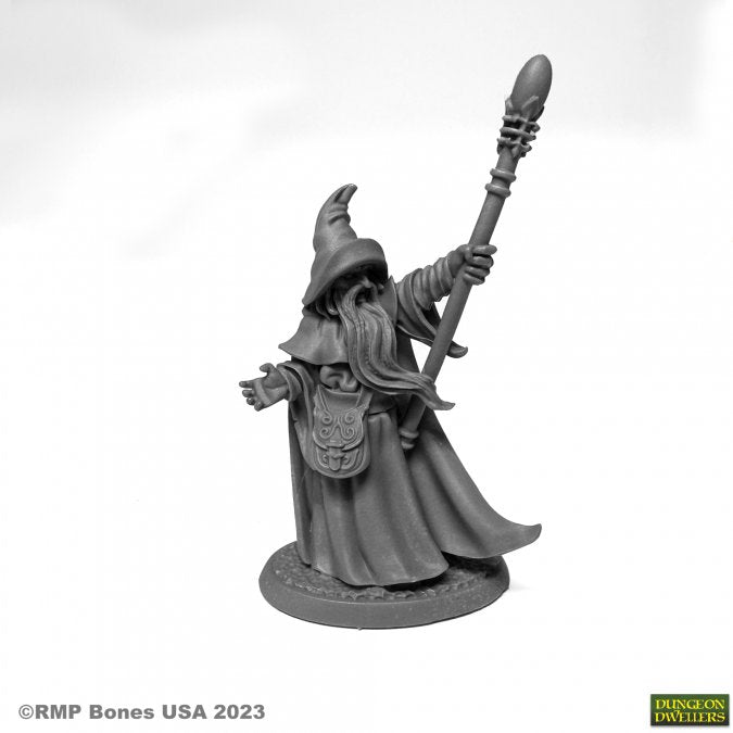 Arakus Landarzad, Wizard - Reaper Dungeon Dwellers