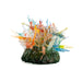 Grow Crystal Rainbow