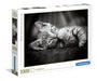 KITTY - Clementoni - 1000p