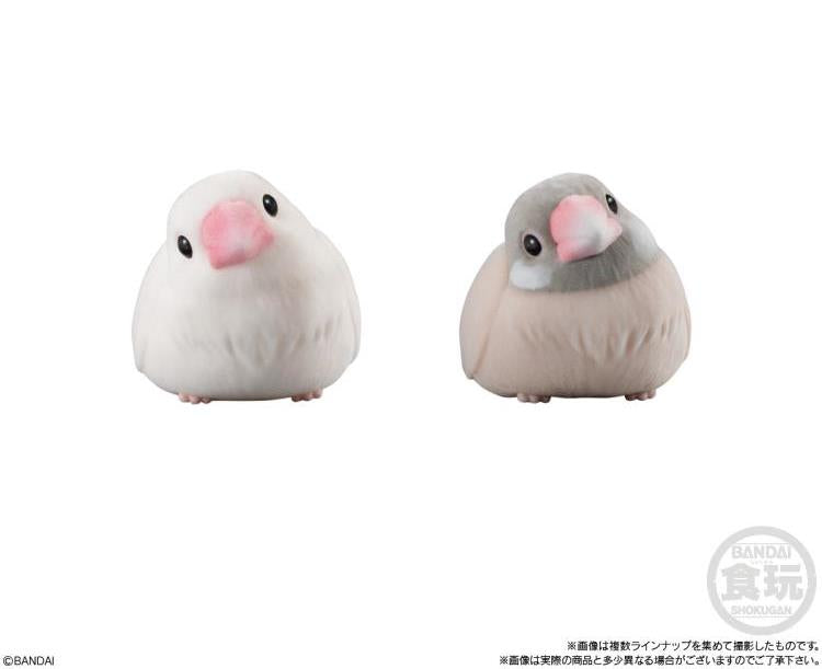 Mofumofu Te-Nori Friends  without Gum
