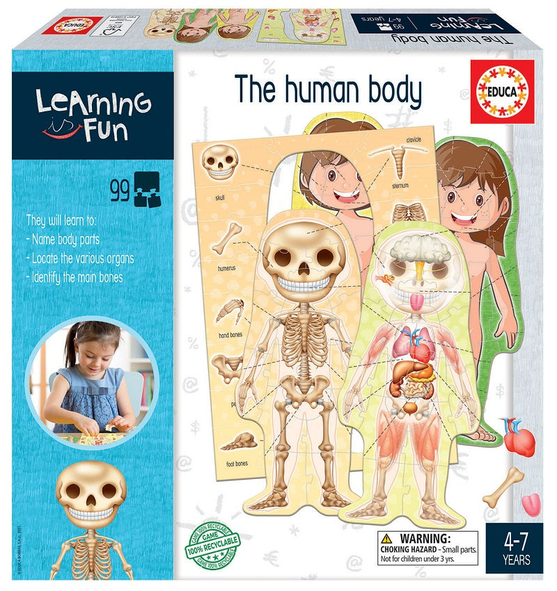 The Human Body Learning Is Fun