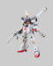 1:144 CROSSBONE GUNDAM X1 HGUC
