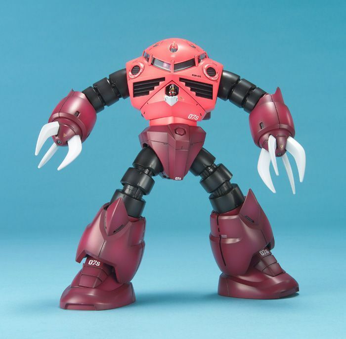 MG 1:100 MSM-07 ZGOK CHARS CUSTOM