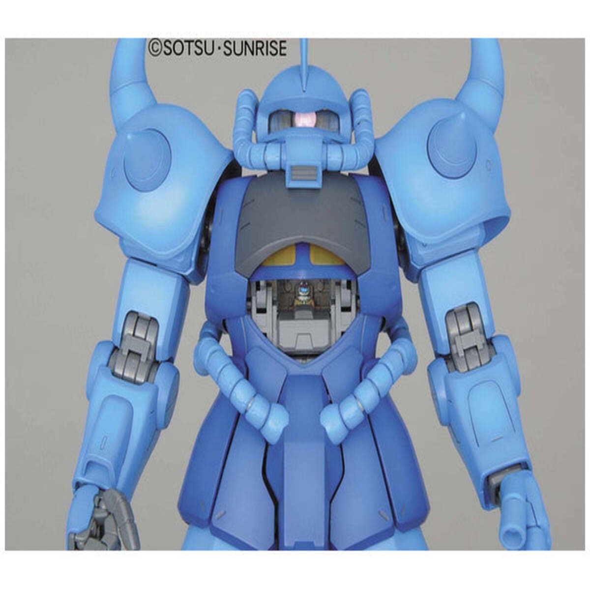 MG 1:100 GOUF Ver 2.0