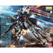 MG 1:100 AILE STRIKE GUNDAM Ver. RM