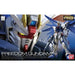 1:144 RG FREEDOM GUNDAM