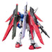 1:144 RG DESTINY GUNDAM