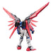 1:144 RG DESTINY GUNDAM