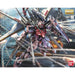 MG 1:100 STRIKE ROUGE OOTORI UNIT Ver.RM