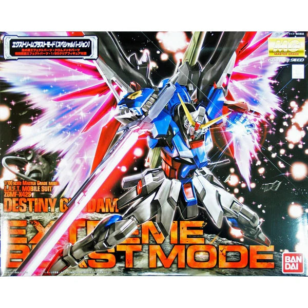 DESTINY SPECIAL EDITION MG 1/100 GUNDAM
