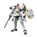 1/144 RG TALLGEESE EW