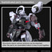 1:144 HG GUNDAM SCHWARZETTE