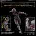 30MF Rosan Knight