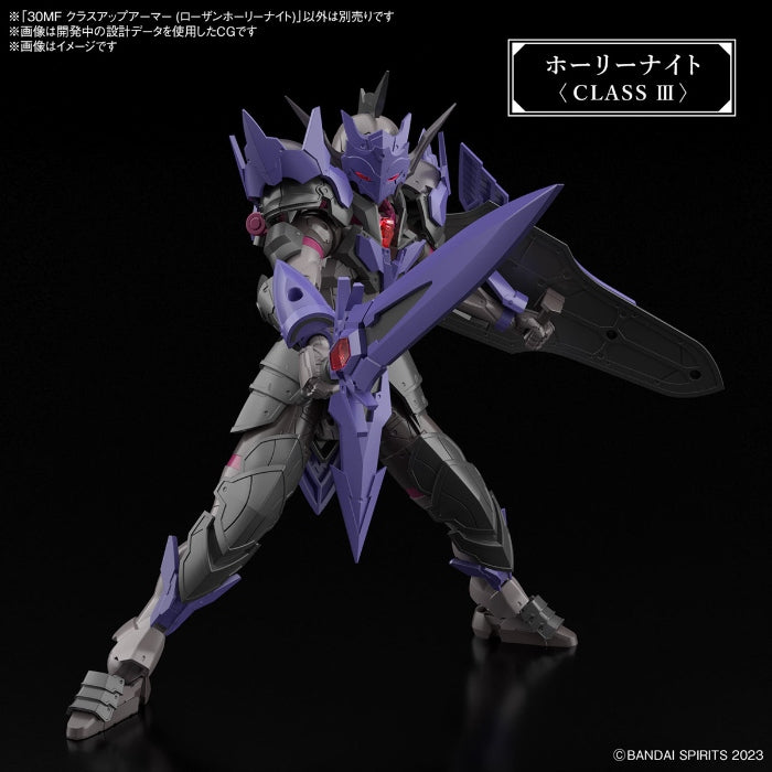 30MF Class Up Armor (Rosan  Holly Knight)