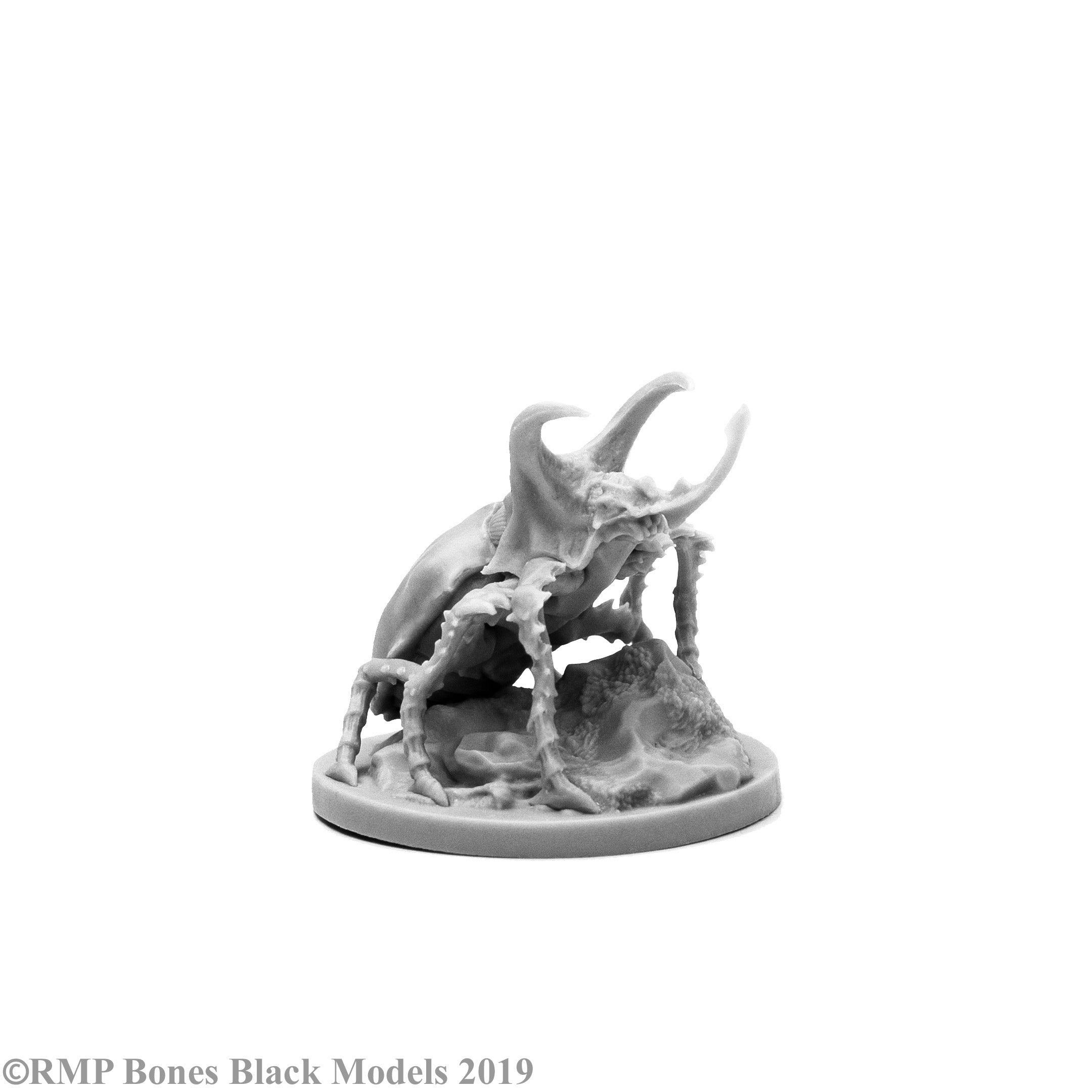 Giant Rhino Beetle - Reaper Bones Black