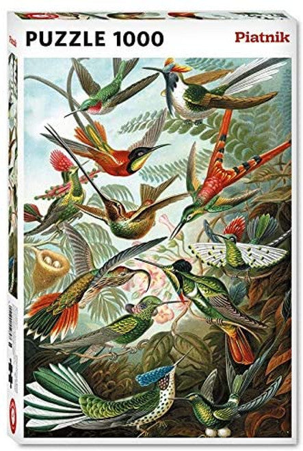 HAECKEL, HUMMINGBIRDS 1000pc