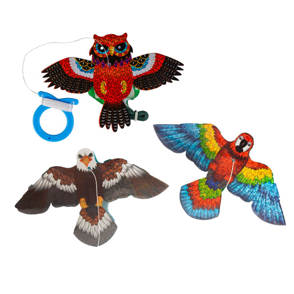 Kite - Worlds Smallest Bird