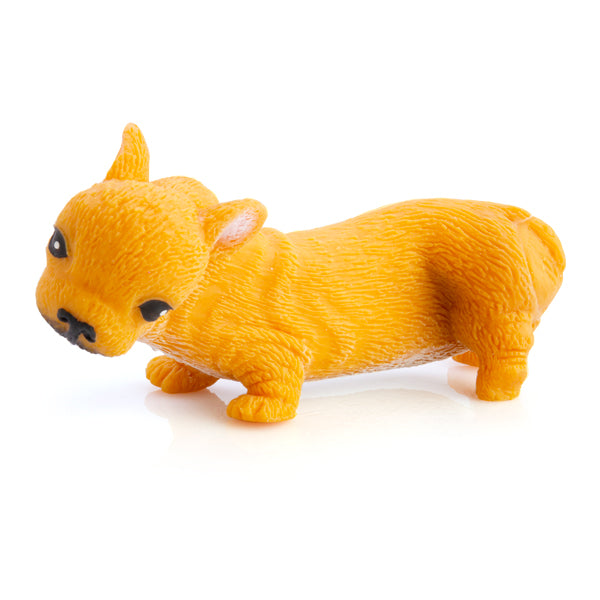 Stretch French Bulldog