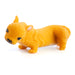 Stretch French Bulldog