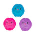 ECHIDNA - SMOOSHOS SUPER SQZ GID