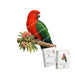A3 King Parrot Wooden Puzzle - Puzzle ART