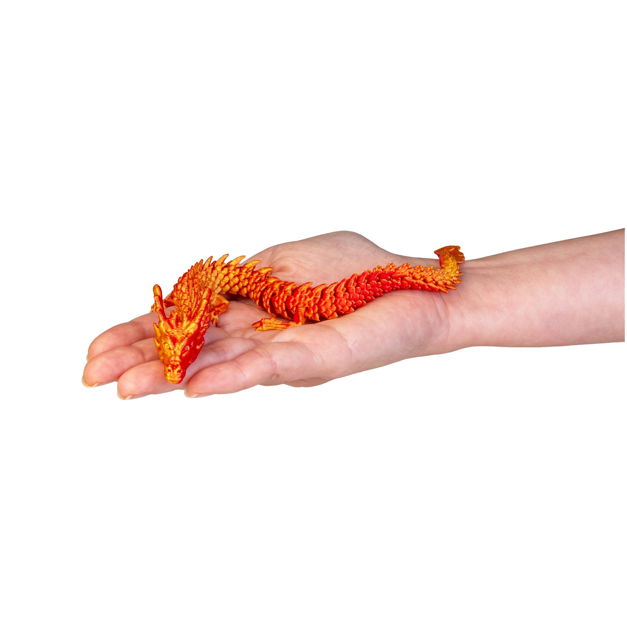 3d Dragon - MDI