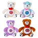 Teddy Bears - Jellyroos