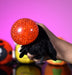 Bugs - Squishy Ball Plush