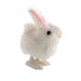 Wind Up Bunny
