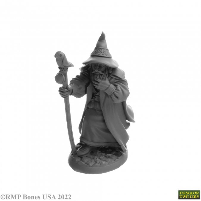 Landol Griwsold, Human Wizard - Reaper: Dungeon Dwellers