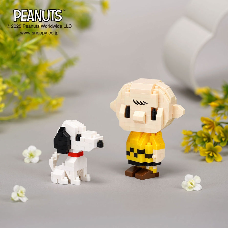 Charlie Brown with Snoopy- Peanuts - Nanoblock