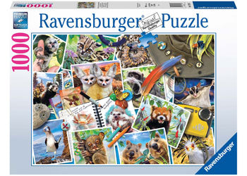 A Traveler - RAVENSBURGER