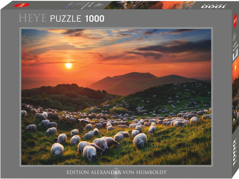 Sheep and Volcano Von Humbold - 1000pc Heye