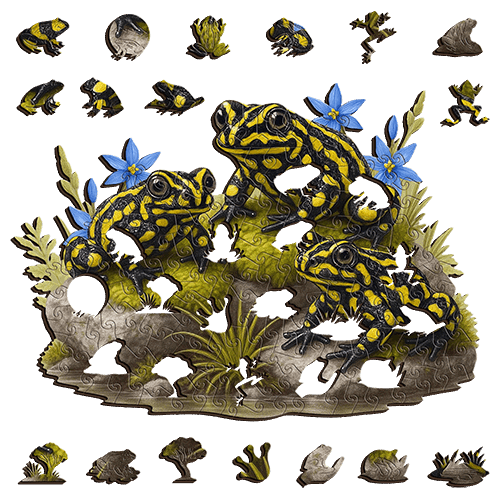 A5 Southern Corroboree Frog Wooden Puzzle - Puzzle ART