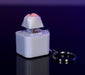 Cat Paw - Fidget Sound Clicker