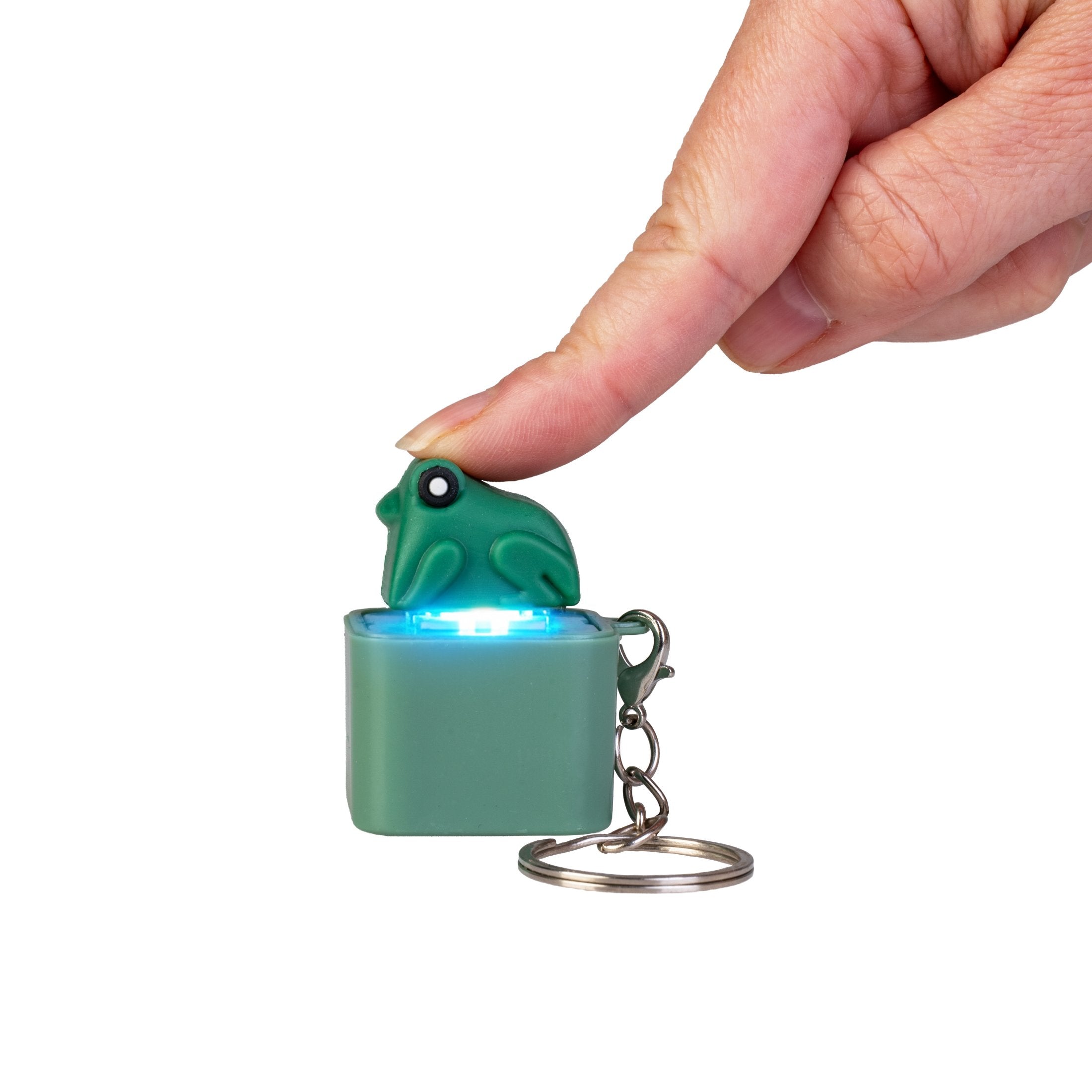 Frog - Fidget Sound Clicker