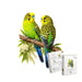 A5 Wild Budgies Wooden Puzzle - Puzzle ART