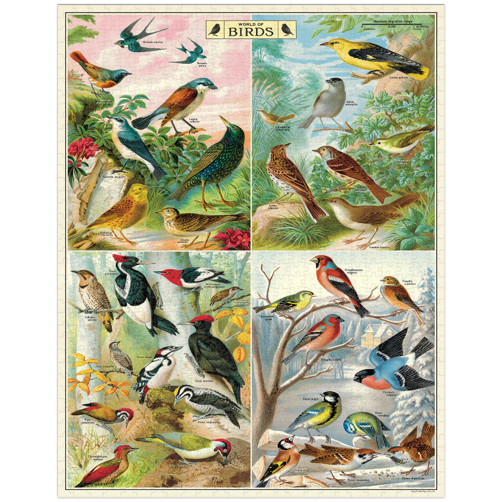 World of Birds - 1000pc Cavallini