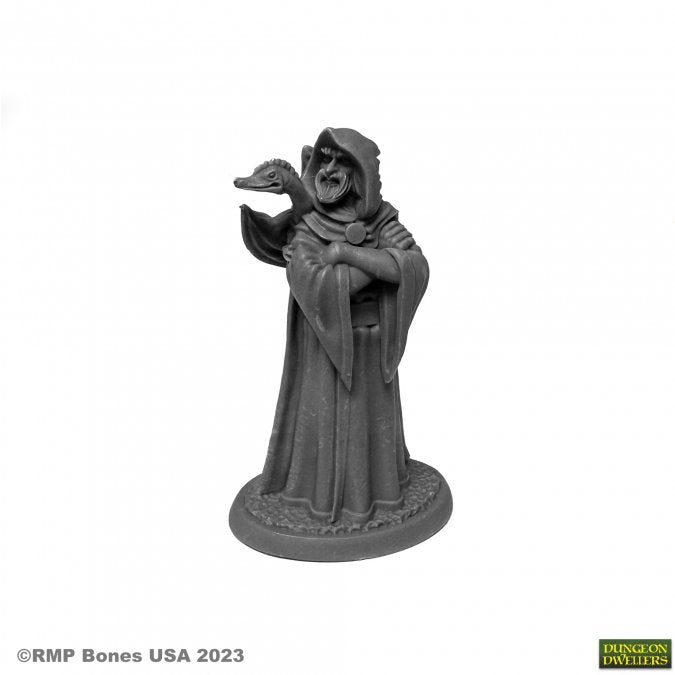 Zenfis Zadar, Wizard - Reaper Dungeon Dwellers