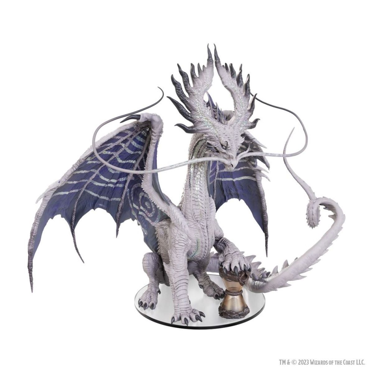Time Dragon- Adult