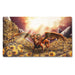 Playmat Case & Coin - Dyrkottr, Last of His Kind - Dragon Shield