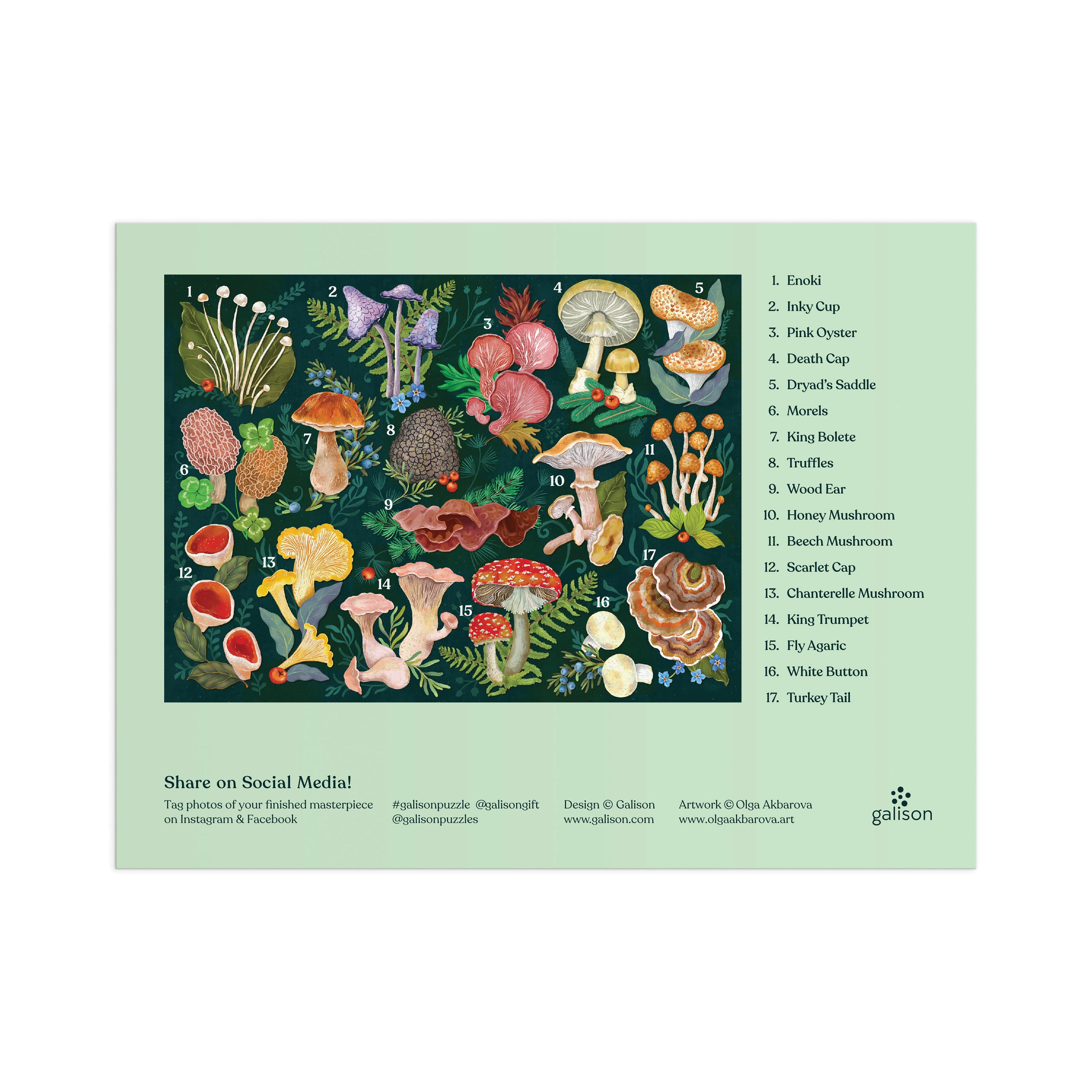 World of Mushrooms Puzzle - 1000pc Galison