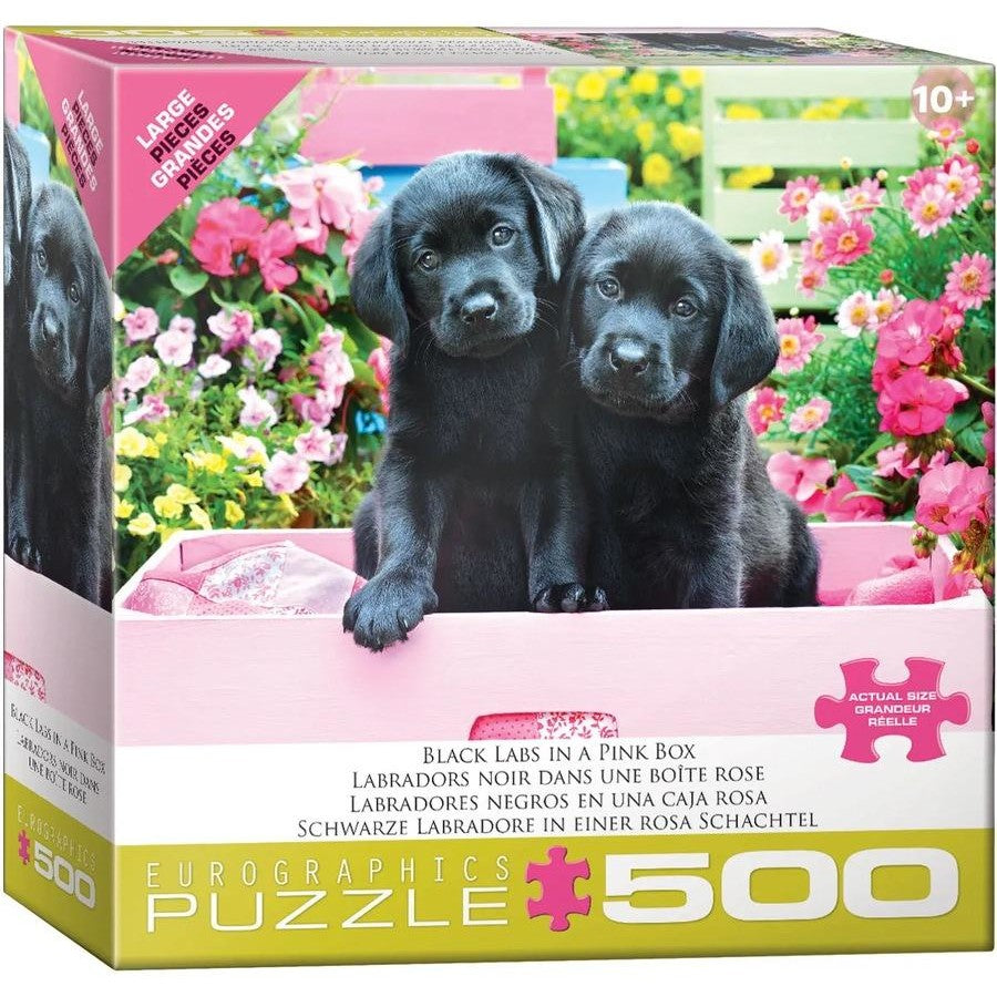 Black Labs In Pink Box 500pc XL - Eurographics